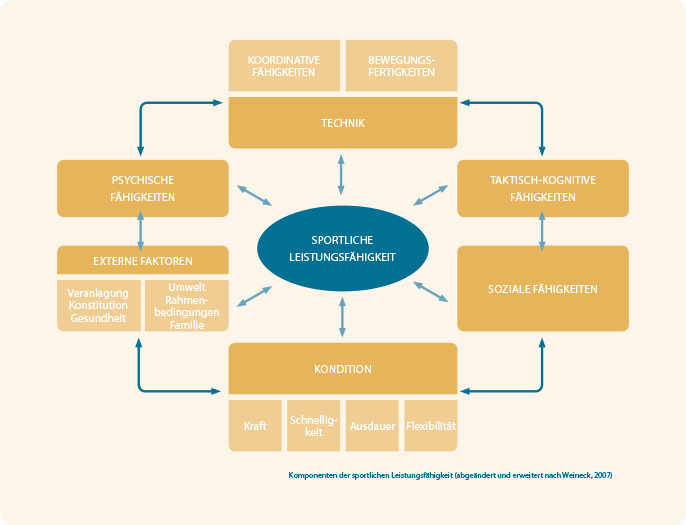 Grafik Sportliche Leistungsfähigkeit